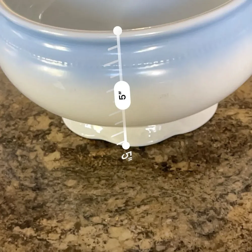 Vintage 1900’s Queen WS George Porcelain Blue White Chamber Pot with Lid RARE